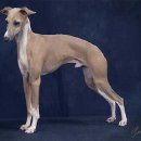 참경희한의원 이미지