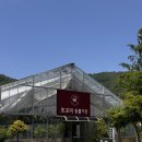 경기도/포천 서울 근교 나들이 아이랑 가기좋은 마이애니멀스토리 in평강랜드 솔직후기
