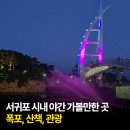 서귀포차 Daum카페