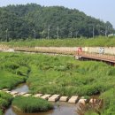 용두대로 이미지