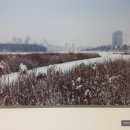 산책로, 광교 푸른숲도서관, 광교 호수공원 전망대, 광교 물 홍보관, 광교 생태환경체험교육관 체험 후기