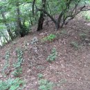 배티하우스 이미지