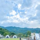 산청당구장 | 경남 글램핑 풀빌라 수영장 다 있는 산청 럭셔리 글램핑 W