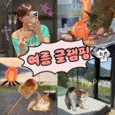 저스트글램핑 | 창원캠핑장 헤리티지글램핑 오션뷰 카라반 오토캠핑장 바베큐⛺️
