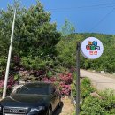 다섯 난장이 이미지