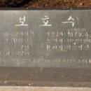 석성동헌 탱자나무 이미지