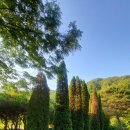 평창강힐링하우스2 이미지