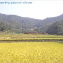 대곡면-10 이미지