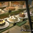 안나비니 이미지