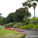 가나농장 이미지