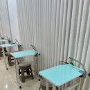 [공지] [그룸빌애견미용전문학원] 2025년 국비지원 애견미용사 자격증, 지금이 시작할 기회!