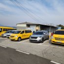 신안농장 | 포천 신안농장에서 즐긴 사과따기 체험 후기