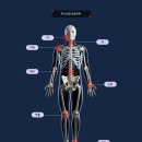 더한한의원 이미지