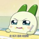 새남부약국 | 금천구 두쫀쿠 맛집 "쑥국당" 두바이쫀득쿠키, 두바이 카다이프 쿠키 가격, 단면, 웨이팅, 오픈런