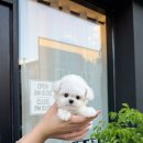 광산구-045 이미지