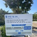 342 | 강릉 캠핑장 추천 프라이빗하고 깔끔한 342camp 캠핑장 후기