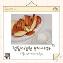 정들농원 | 꿀사과 추천 정담아농원 부사 사과 후기