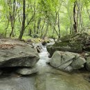 새아침펜션 이미지