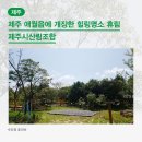 [지역발전포털 레디스] 제주_애월읍에 개장한 힐링명소 휴림 (제주시산림조합)