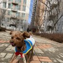 놀러왕왕왕 이미지