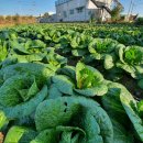 후니농장 이미지