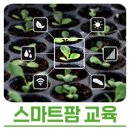 스마트 농산물 유통의 이해 이미지