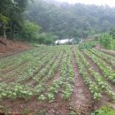 내곡농장 이미지