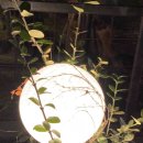 치유의 방 이미지