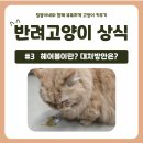달봉이네 대연점 이미지