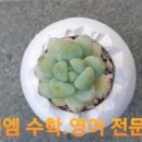 엠엔엠수학학원