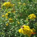 산들애농원 이미지