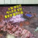 d2r 지역별 드랍.몬스트 던전 아이템 참고자료 이미지