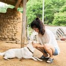 산성가음로 이미지