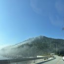 항도회관 | 청산도 낚시 및 전기차 선적 후기