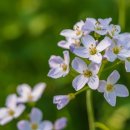 신강한의원 이미지