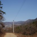 순천만자연드림목장 이미지