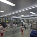 경희대 빅토리 태권도장 네이버블로그