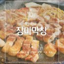 장미막창초지역점