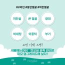 피오닉에스테틱