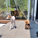 가가펜션 이미지