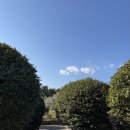 11500-6-53-09 | 251207-09 제주도 2일차