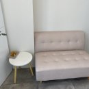 애프터 퍼피(AFTER PUPPY) 이미지