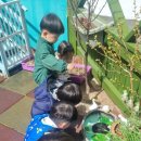 나무오리어린이집 이미지