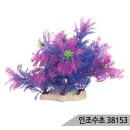 삼호수족관