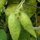 당정골계곡 이미지