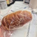 [다이어트] 내돈내산 자연과한의원 식탐사약 : 3주 차 복용 후기 (-3.4 kg 감량)
