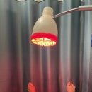 다나음한방병원 이미지