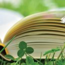 소정빌딩 이미지