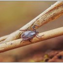 삼패1통 마을회관 | 진드기 퇴치에 필요한 이걸 모르고 살았네