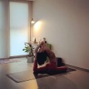 요가라이프 이미지